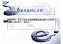 總體安全風(fēng)險評估報告